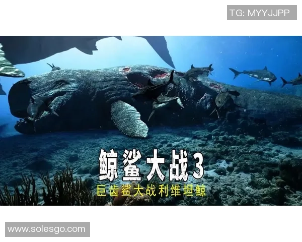 塞萨洛与莫斯巴达激战在即谁能在这场对决中笑到最后