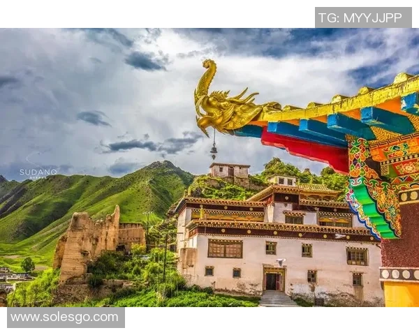 探索阿拉巴的魅力与文化底蕴,揭开这片土地的历史与未来之旅 探索阿拉巴的魅力与文化底蕴,揭开这片土地的历史与未来之旅