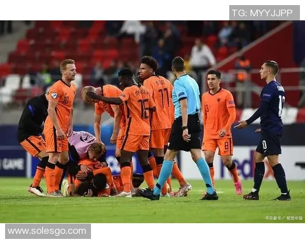 罗马尼亚与荷兰足球赛结果分析及精彩瞬间回顾