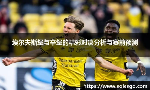 埃尔夫斯堡与辛堡的精彩对决分析与赛前预测